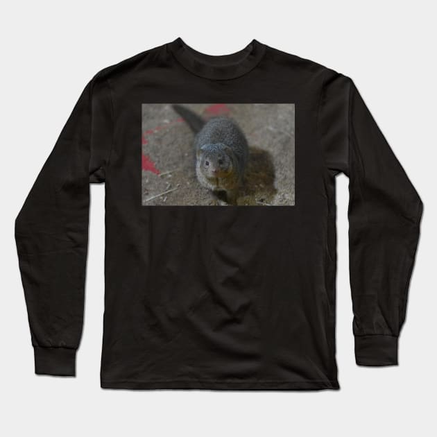 Mongoose Long Sleeve T-Shirt by MarieDarcy